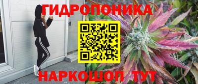метадон Бийск