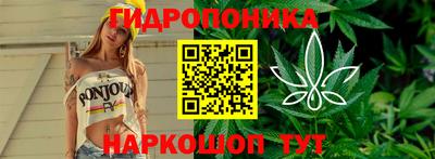 гашик Берёзовский